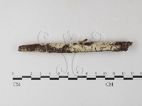 登錄號:F0023833藏品圖，第1張