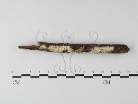 登錄號:F0023833藏品圖，第3張