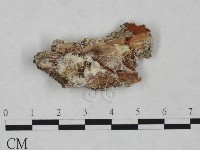 登錄號:F0023835藏品圖，第1張