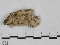 登錄號:F0023835藏品圖，第3張