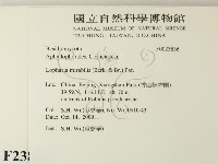 登錄號:F0023836藏品圖，第2張