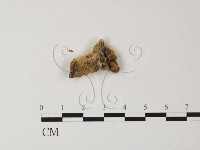 登錄號:F0023836藏品圖，第3張