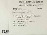 登錄號:F0023841藏品圖，第2張