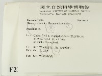木層孔菌屬藏品圖，第2張