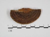 登錄號:F0023844藏品圖，第1張