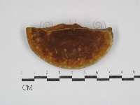 登錄號:F0023844藏品圖，第3張