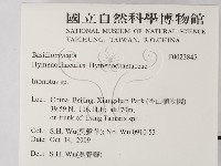 纖孔菌屬藏品圖，第2張