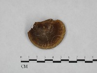 登錄號:F0023846藏品圖，第3張