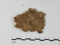 登錄號:F0023847藏品圖，第1張