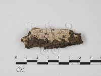 登錄號:F0023849藏品圖，第1張