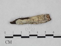 登錄號:F0023850藏品圖，第1張