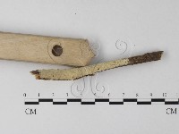 登錄號:F0023851藏品圖，第3張