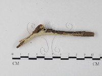 登錄號:F0023851藏品圖，第4張