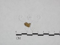 登錄號:F0023854藏品圖，第1張