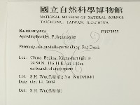 登錄號:F0023855藏品圖，第2張