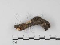 登錄號:F0023855藏品圖，第1張