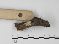 登錄號:F0023855藏品圖，第3張