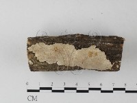 登錄號:F0023856藏品圖，第3張