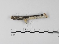 登錄號:F0023859藏品圖，第1張