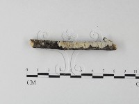 登錄號:F0023859藏品圖，第3張