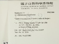 登錄號:F0023860藏品圖，第2張