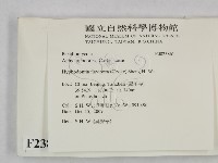 登錄號:F0023861藏品圖，第2張