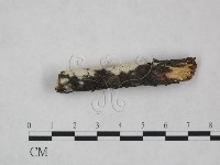 登錄號:F0023861藏品圖，第3張