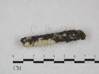登錄號:F0023861藏品圖，第4張