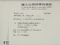 登錄號:F0023864藏品圖，第2張