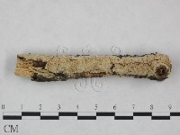 登錄號:F0023864藏品圖，第1張