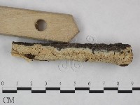 登錄號:F0023864藏品圖，第3張