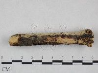 登錄號:F0023864藏品圖，第4張
