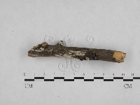 登錄號:F0023865藏品圖，第3張
