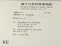 登錄號:F0023866藏品圖，第2張