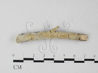 登錄號:F0023866藏品圖，第1張