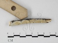 登錄號:F0023866藏品圖，第3張