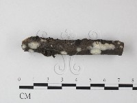 登錄號:F0023867藏品圖，第3張