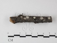 登錄號:F0023867藏品圖，第4張