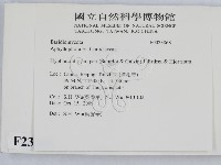 登錄號:F0023868藏品圖，第2張
