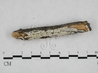登錄號:F0023868藏品圖，第3張