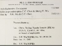 雲南無扣菌藏品圖，第2張