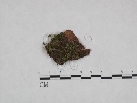 登錄號:F0023873藏品圖，第1張