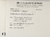 登錄號:F0023878藏品圖，第2張