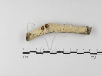 登錄號:F0023878藏品圖，第1張