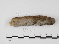 登錄號:F0023884藏品圖，第1張