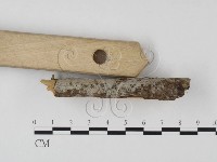 登錄號:F0023884藏品圖，第3張