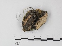 登錄號:F0023885藏品圖，第3張