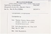 登錄號:F0023885藏品圖，第4張