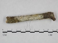 登錄號:F0023886藏品圖，第1張