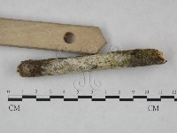 登錄號:F0023886藏品圖，第3張